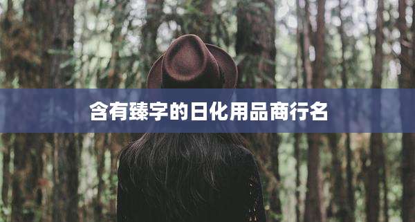 含有臻字的日化用品商行名