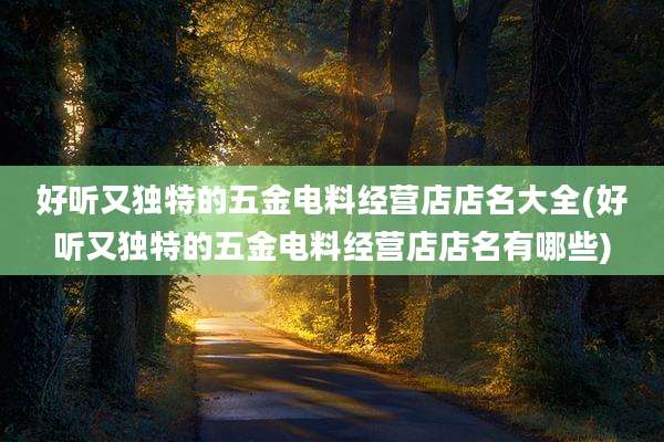 好听又独特的五金电料经营店店名大全(好听又独特的五金电料经营店店名有哪些)