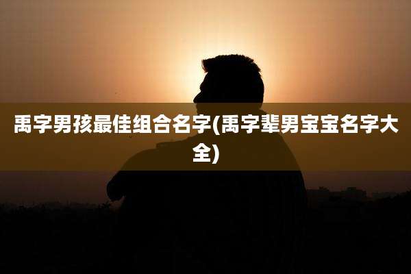 禹字男孩最佳组合名字(禹字辈男宝宝名字大全)