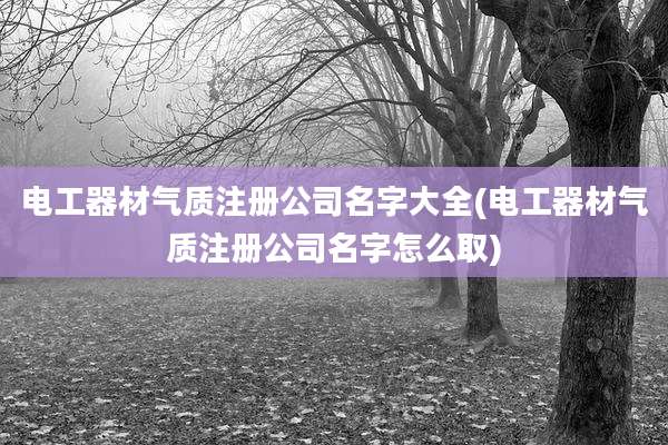 电工器材气质注册公司名字大全(电工器材气质注册公司名字怎么取)