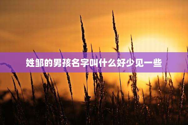 姓邹的男孩名字叫什么好少见一些