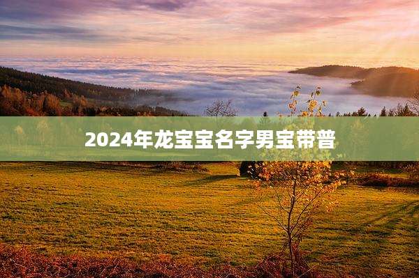 2024年龙宝宝名字男宝带普