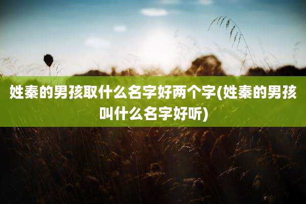 姓秦的男孩取什么名字好两个字(姓秦的男孩叫什么名字好听)