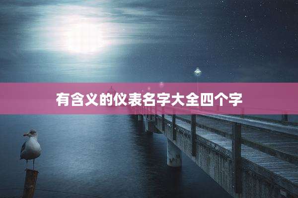 有含义的仪表名字大全四个字
