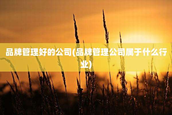 品牌管理好的公司(品牌管理公司属于什么行业)
