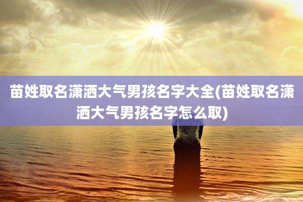 苗姓取名潇洒大气男孩名字大全(苗姓取名潇洒大气男孩名字怎么取)