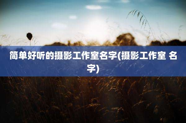 简单好听的摄影工作室名字(摄影工作室 名字)
