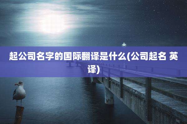 起公司名字的国际翻译是什么(公司起名 英译)