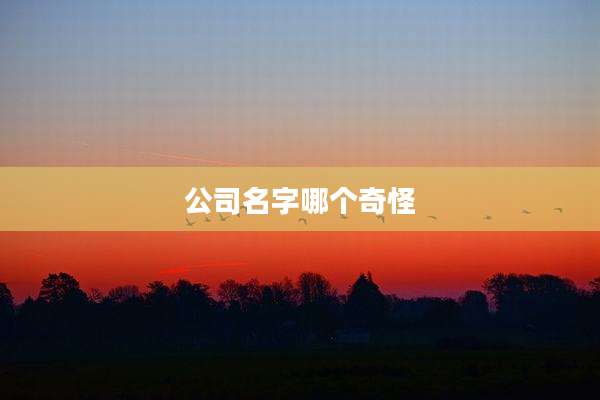 公司名字哪个奇怪