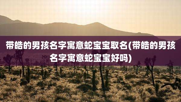带皓的男孩名字寓意蛇宝宝取名(带皓的男孩名字寓意蛇宝宝好吗)