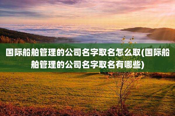 国际船舶管理的公司名字取名怎么取(国际船舶管理的公司名字取名有哪些)