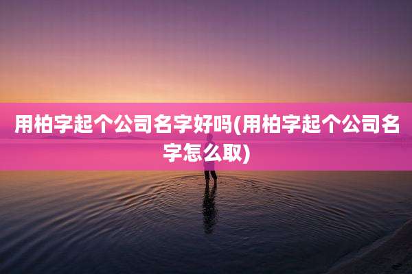 用柏字起个公司名字好吗(用柏字起个公司名字怎么取)