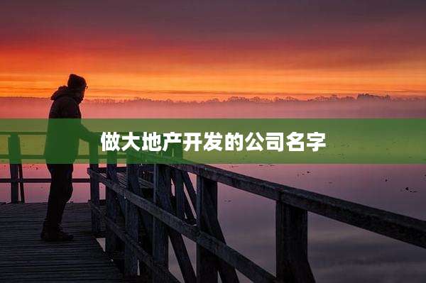做大地产开发的公司名字