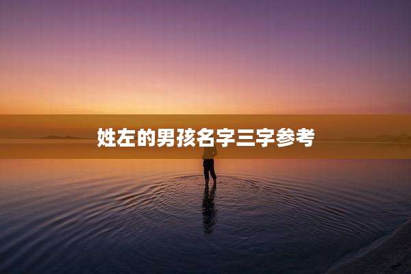 姓左的男孩名字三字参考