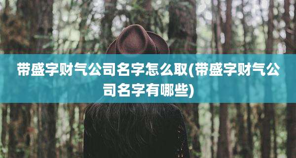 带盛字财气公司名字怎么取(带盛字财气公司名字有哪些)