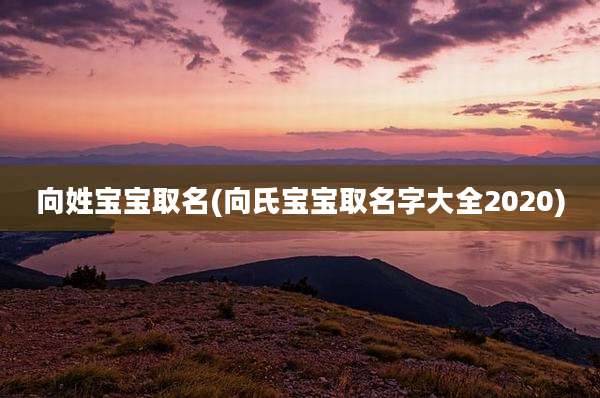 向姓宝宝取名(向氏宝宝取名字大全2020)
