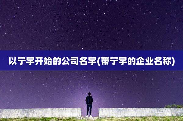 以宁字开始的公司名字(带宁字的企业名称)