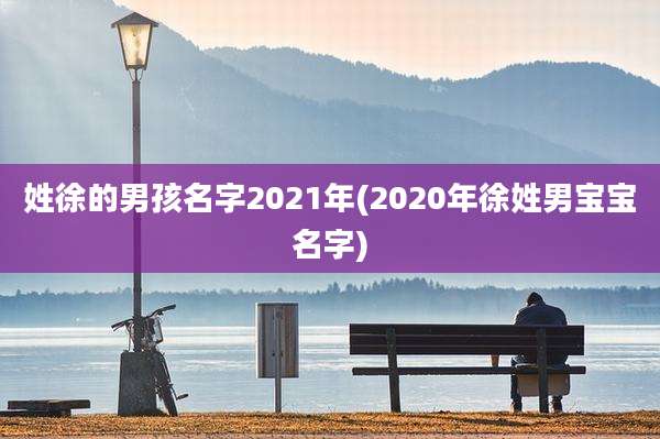 姓徐的男孩名字2021年(2020年徐姓男宝宝名字)