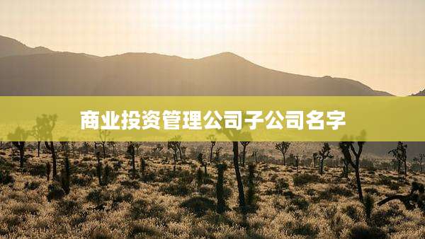 商业投资管理公司子公司名字