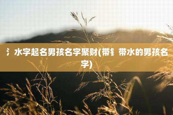 氵水字起名男孩名字聚财(带钅带水的男孩名字)