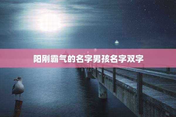 阳刚霸气的名字男孩名字双字