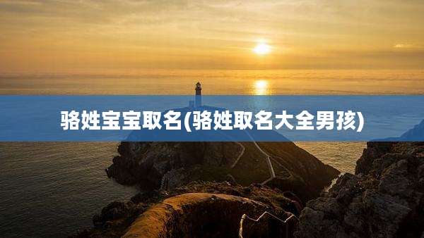 骆姓宝宝取名(骆姓取名大全男孩)