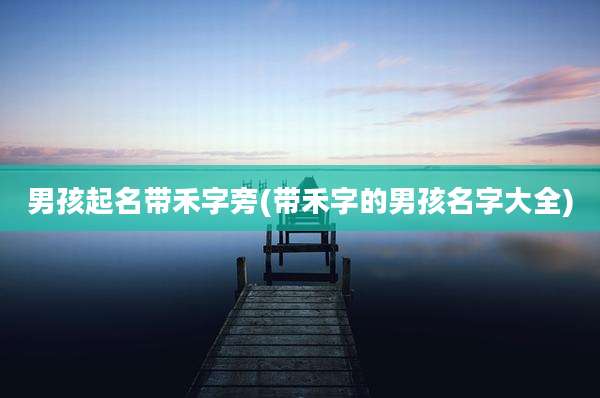 男孩起名带禾字旁(带禾字的男孩名字大全)