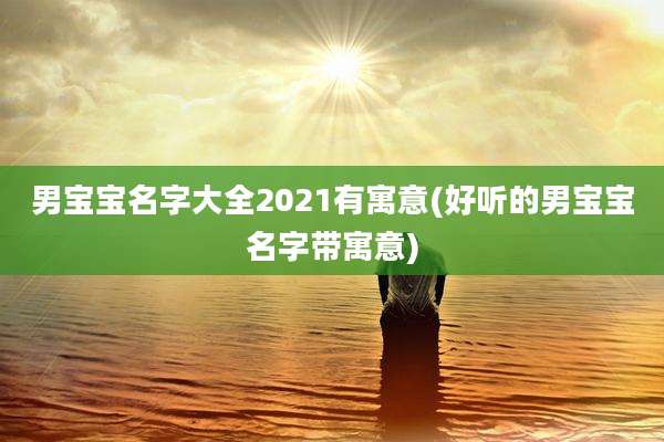 男宝宝名字大全2021有寓意(好听的男宝宝名字带寓意)