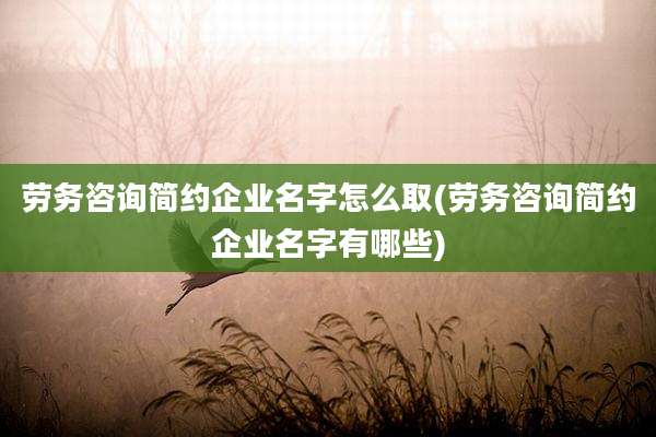 劳务咨询简约企业名字怎么取(劳务咨询简约企业名字有哪些)