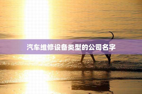 汽车维修设备类型的公司名字