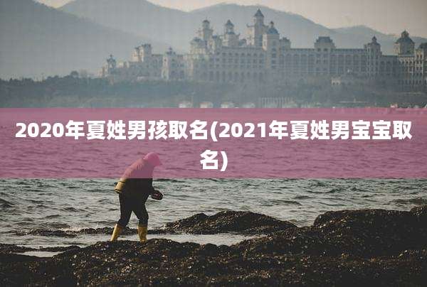 2020年夏姓男孩取名(2021年夏姓男宝宝取名)