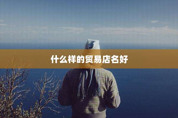 什么样的贸易店名好