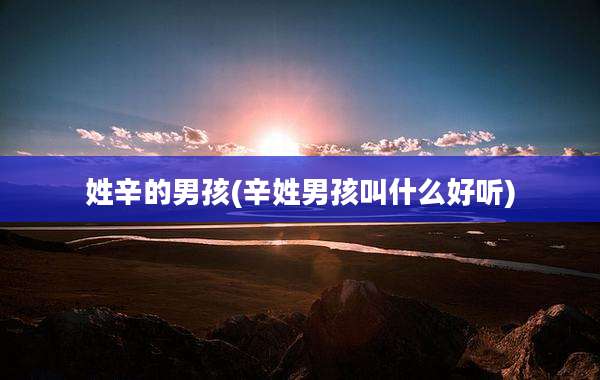 姓辛的男孩(辛姓男孩叫什么好听)