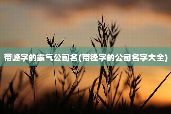带峰字的霸气公司名(带锋字的公司名字大全)