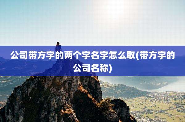 公司带方字的两个字名字怎么取(带方字的公司名称)