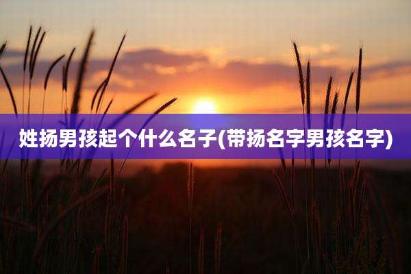 姓扬男孩起个什么名子(带扬名字男孩名字)
