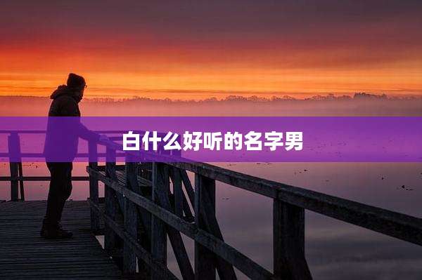 白什么好听的名字男