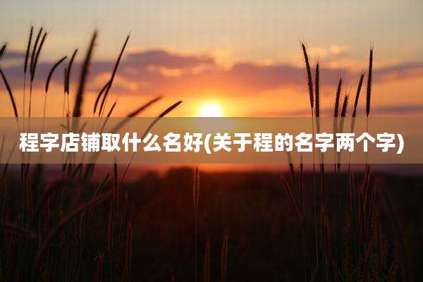 程字店铺取什么名好(关于程的名字两个字)