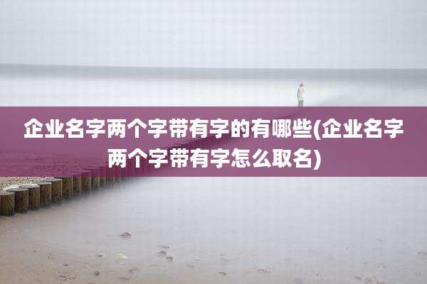 企业名字两个字带有字的有哪些(企业名字两个字带有字怎么取名)