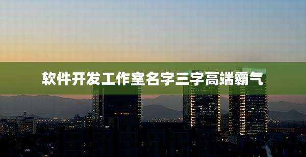 软件开发工作室名字三字高端霸气