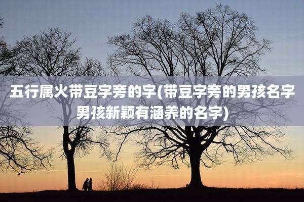 五行属火带豆字旁的字(带豆字旁的男孩名字男孩新颖有涵养的名字)