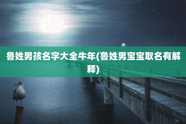 鲁姓男孩名字大全牛年(鲁姓男宝宝取名有解释)