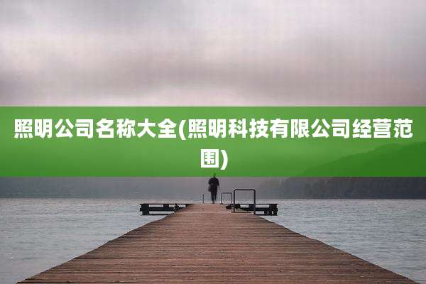 照明公司名称大全(照明科技有限公司经营范围)