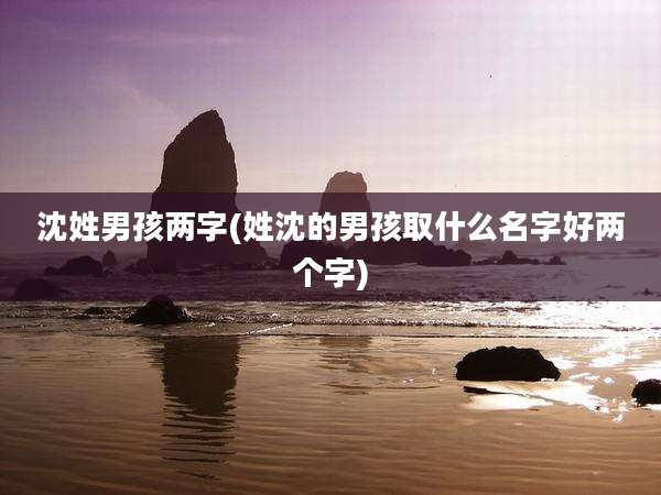 沈姓男孩两字(姓沈的男孩取什么名字好两个字)