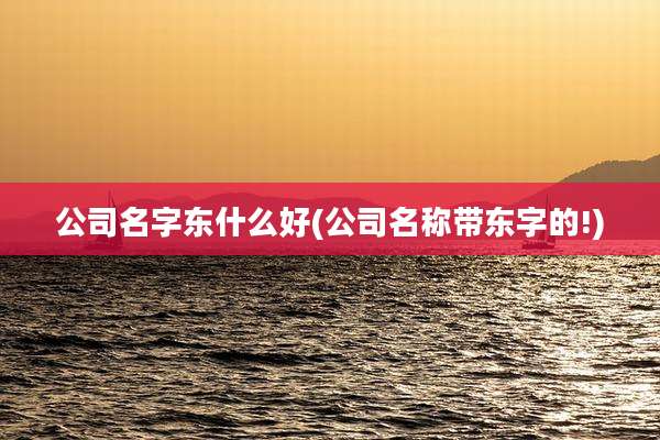 公司名字东什么好(公司名称带东字的!)
