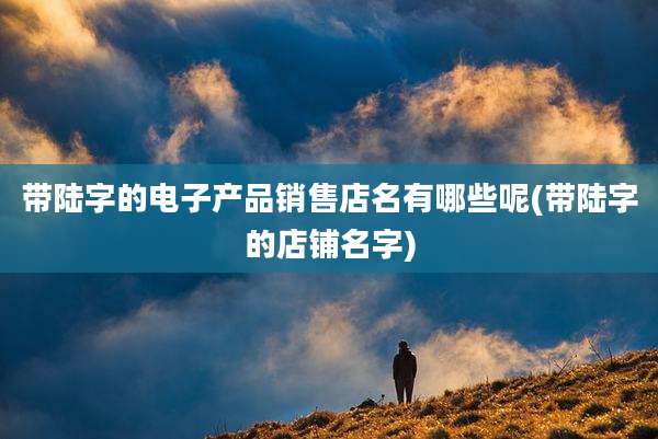 带陆字的电子产品销售店名有哪些呢(带陆字的店铺名字)