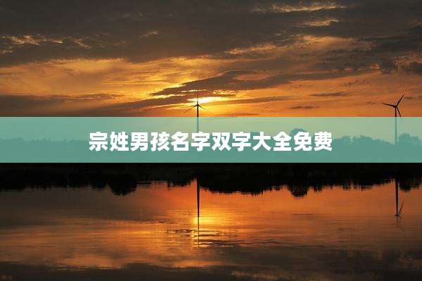 宗姓男孩名字双字大全免费
