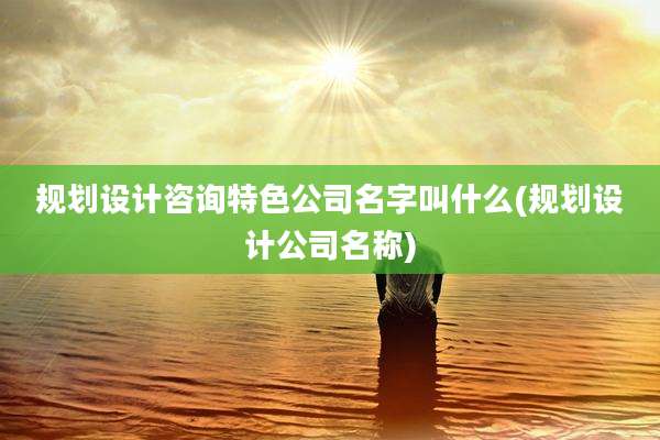 规划设计咨询特色公司名字叫什么(规划设计公司名称)