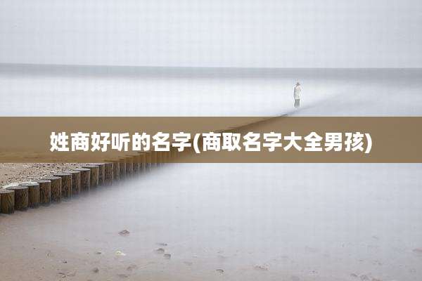 姓商好听的名字(商取名字大全男孩)