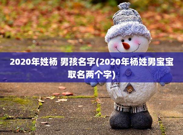2020年姓杨 男孩名字(2020年杨姓男宝宝取名两个字)